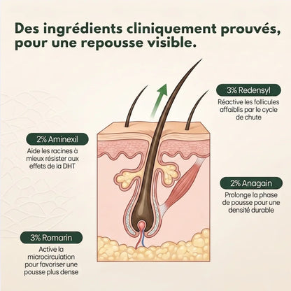 Roll-On Repousse Naturelle